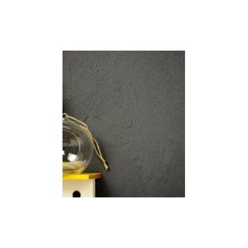 FINISH ONE 珪藻土