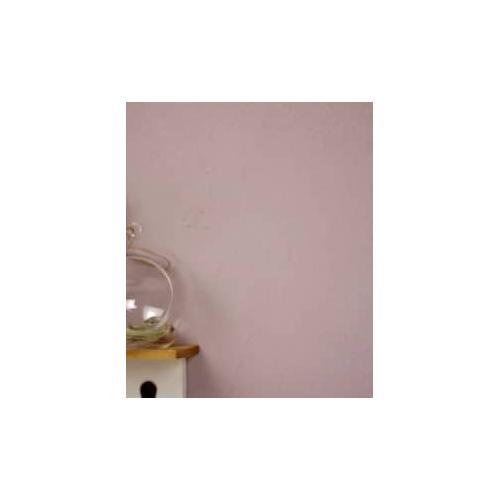 FINISH ONE 珪藻土