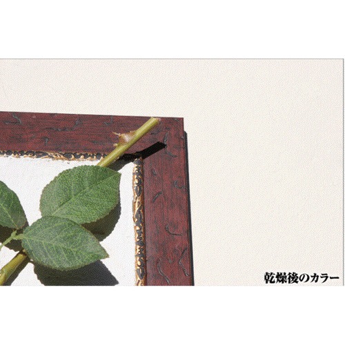 Kペイント ベージュ 5kg