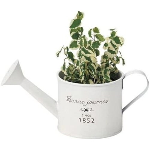 ナチュラルブリキポット