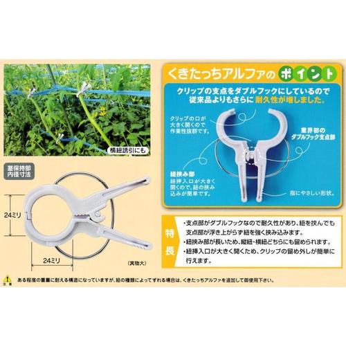 くきたっちアルファ