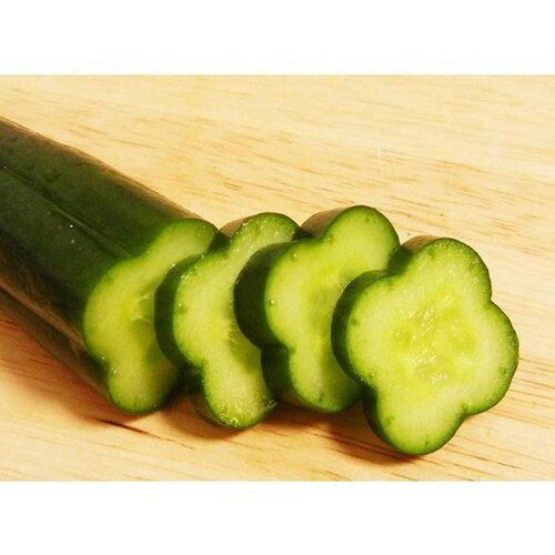 クローバーのきゅうり