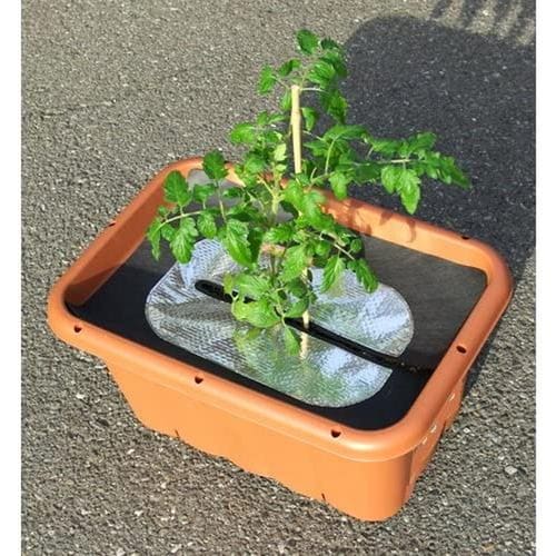 虫よけしきわらいらず