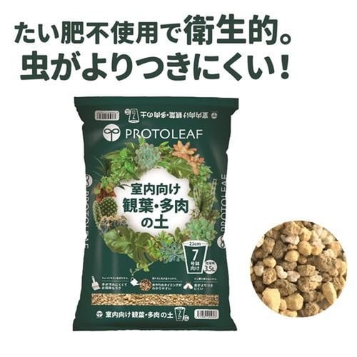 室内向け観葉多肉の土