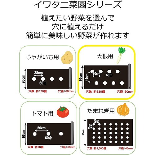 穴あき大根黒マルチ