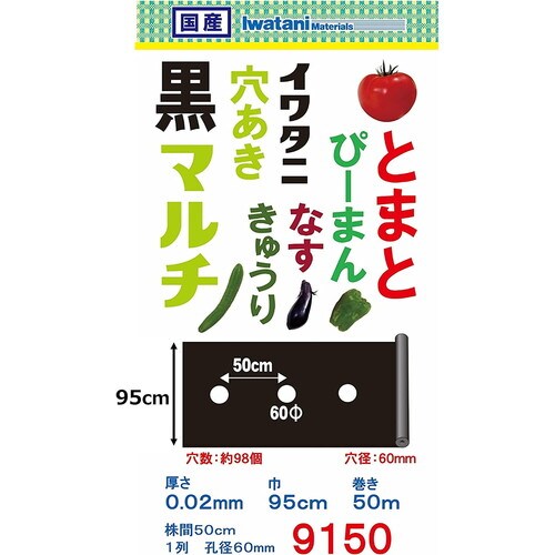 穴あきトマト黒マルチ