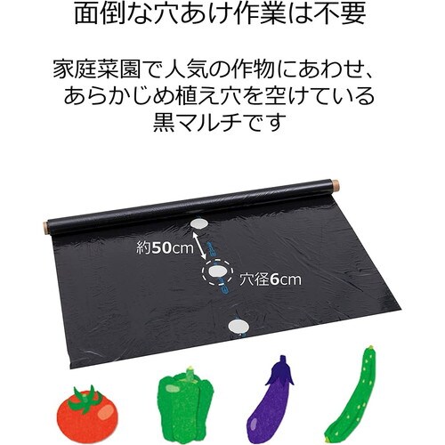 穴あきトマト黒マルチ