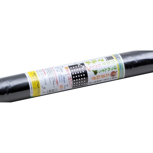 穴き玉ねぎ黒マルチ