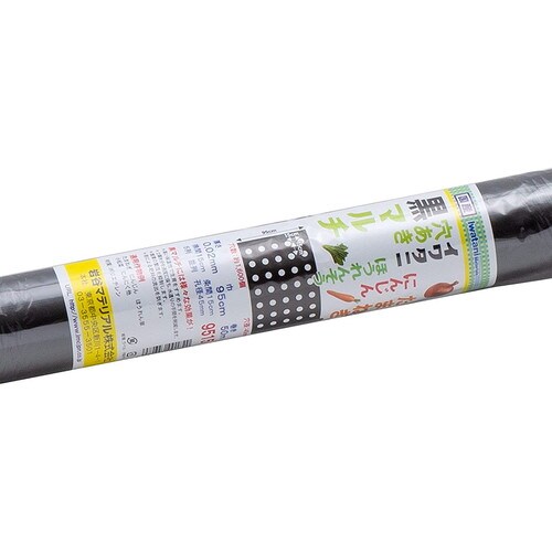 穴き玉ねぎ黒マルチ