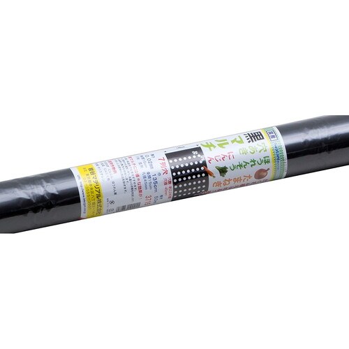 穴き玉ねぎ黒マルチ