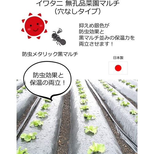 菜園メタリック黒マルチ
