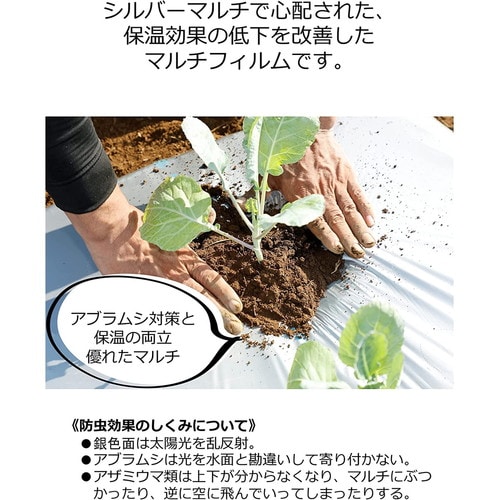 菜園メタリック黒マルチ