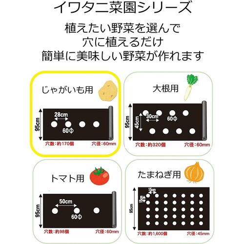 菜園用じゃがいもマルチ
