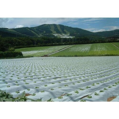 菜園用リバースマルチ