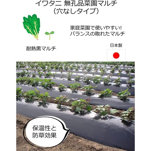 菜園用黒マルチ