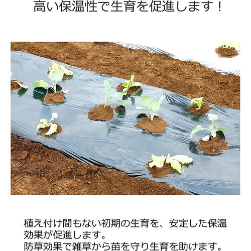 菜園用黒マルチ