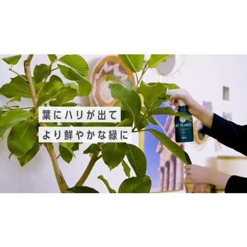 素早く元気届けるミスト