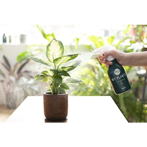 素早く元気届けるミスト