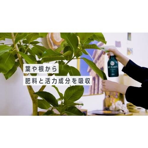 素早く元気届けるミスト