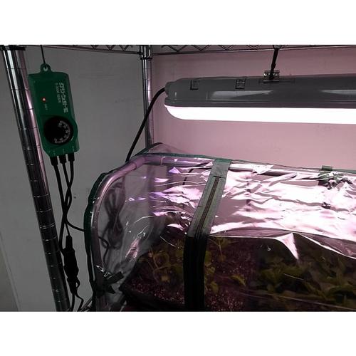 グリーンサーモ