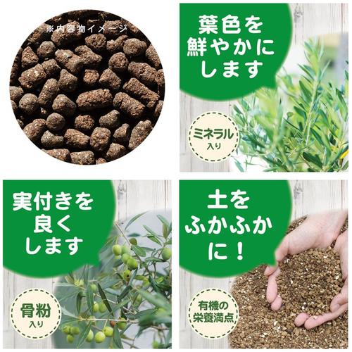 オリーブの肥料