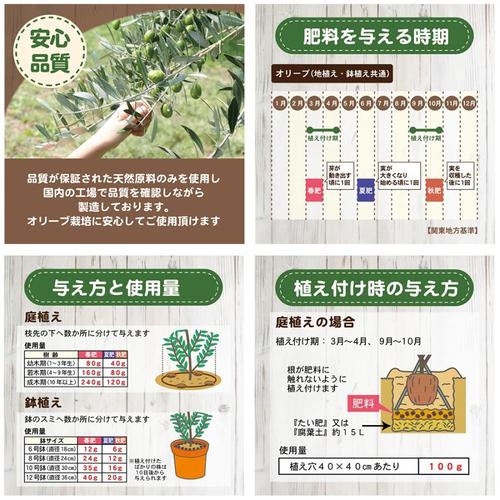 オリーブの肥料