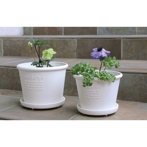 エコプレート丸型