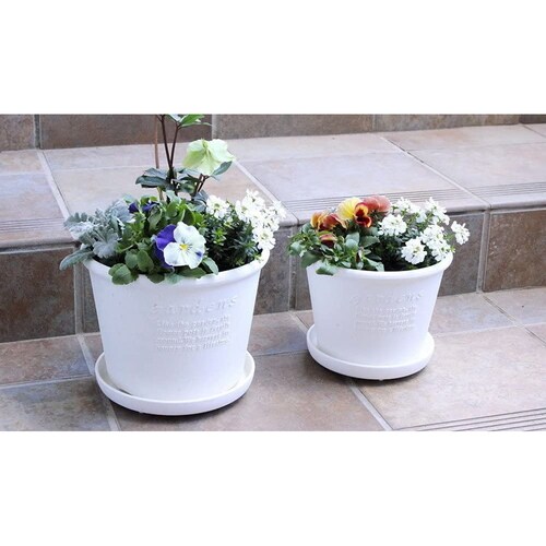 エコプレート丸型