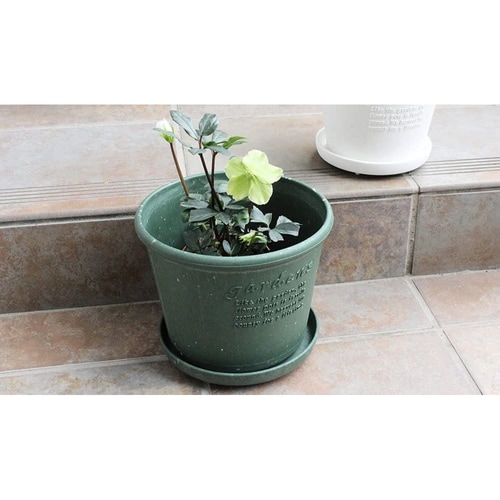 エコプレート丸型