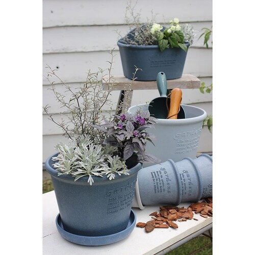 エコプレート丸型