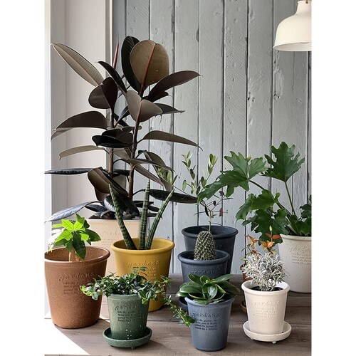 エコポット丸型