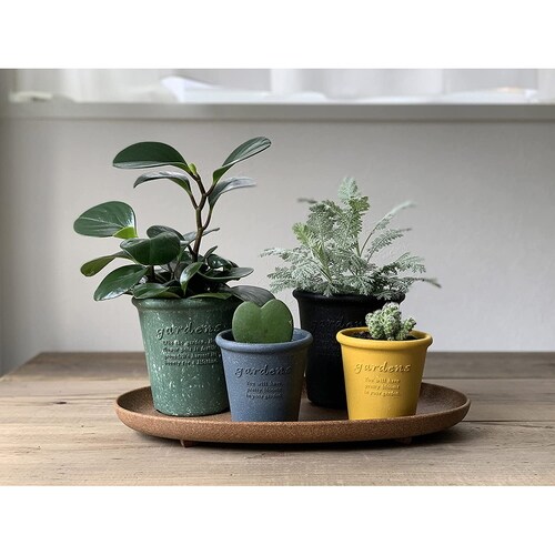 エコポット丸型