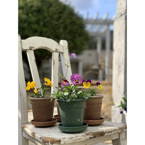 エコポット丸型