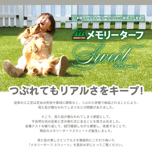 メモリーターフスウィート