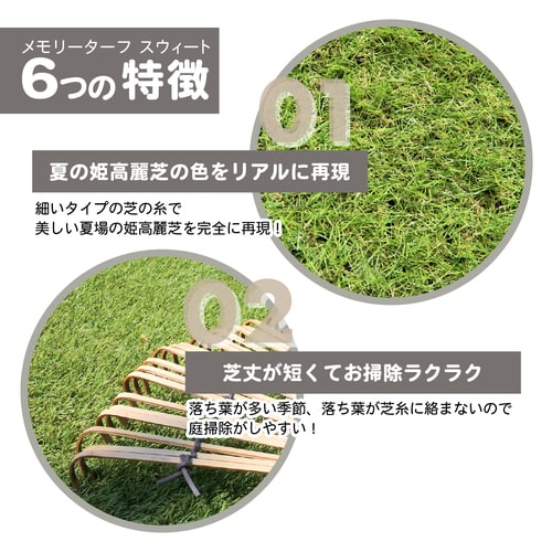 メモリーターフスウィート