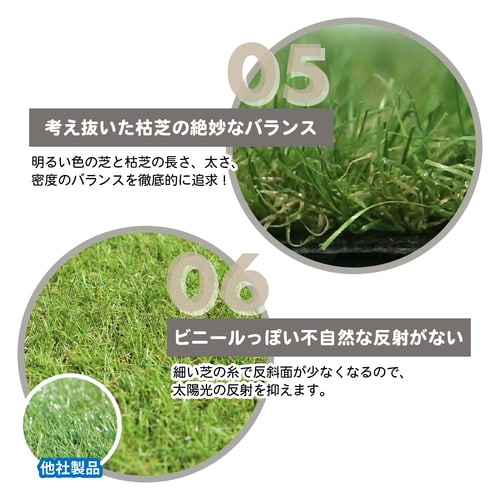 メモリーターフスウィート