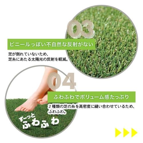 メモリーターフ 25mm 1m×10m