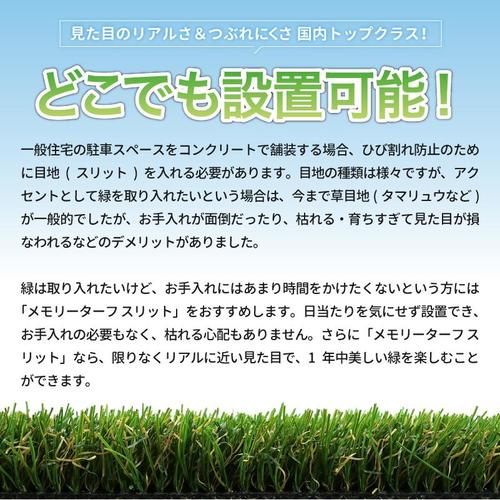 メモリーターフスリット