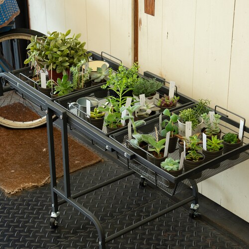 マルチワゴン ROBUST