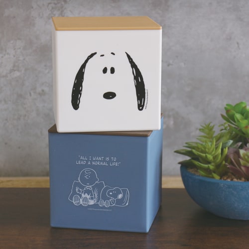 フタ付ティッシュケース