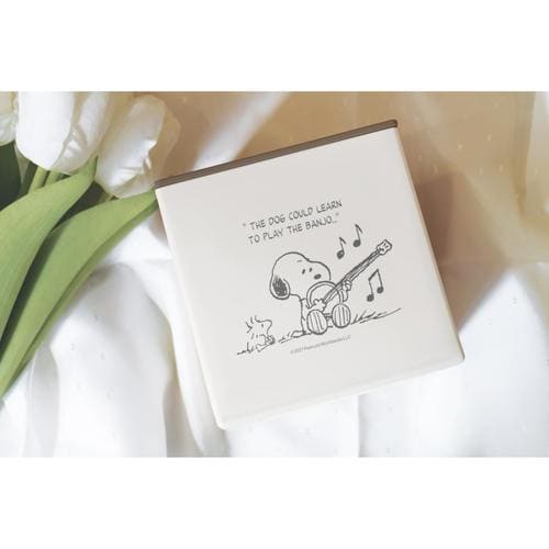 フタ付ティッシュケース