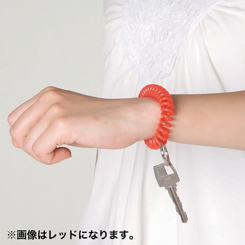 カールバンド レッド 20セット