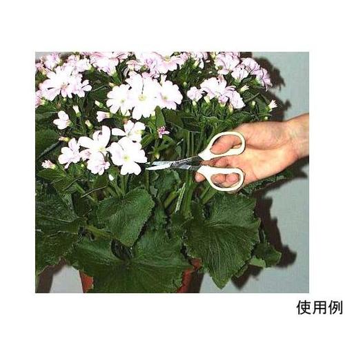 126mm はさみ・クラフト(キャップ付