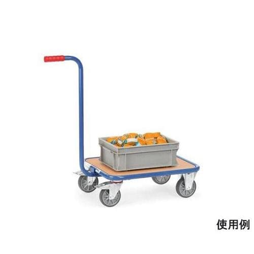 600x500/250kg ハンドル付木