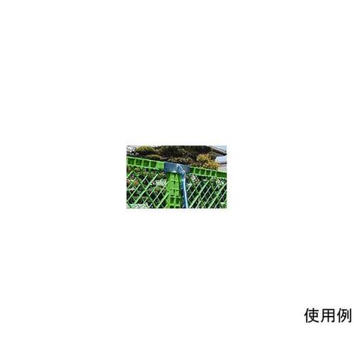 tFXWCg