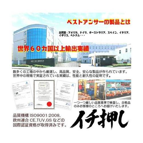 レバーホイスト 2t ba036−12