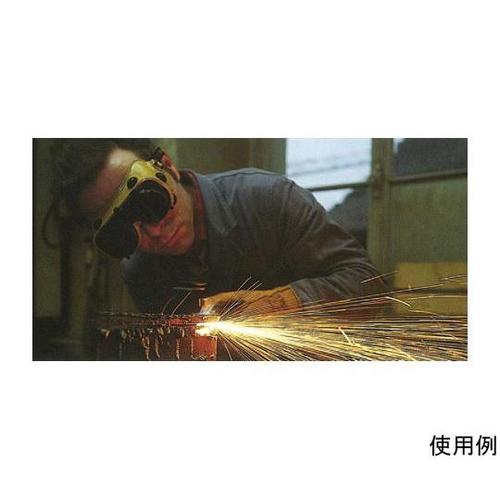 #10 ゴーグル(電気熔接用) EA80