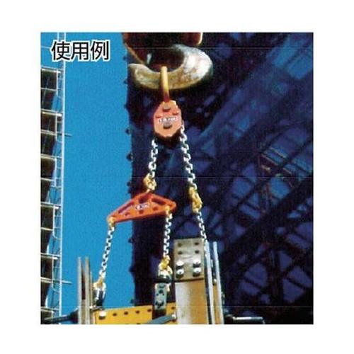 CE10000 チェーンエコライザー