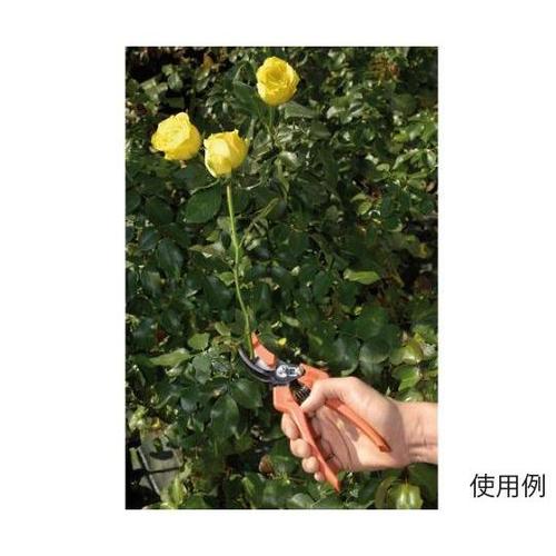 ͂݁E