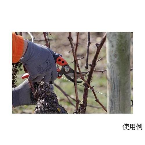 ͂݁E